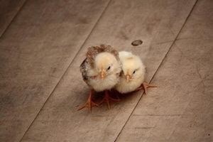 ケガはメッセージ!!