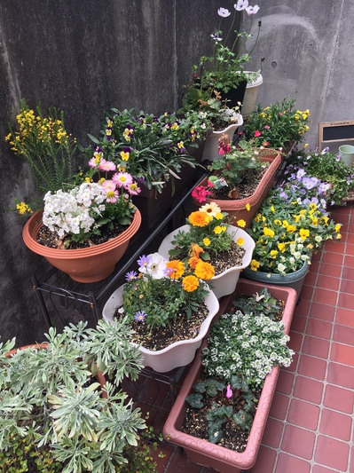 花!