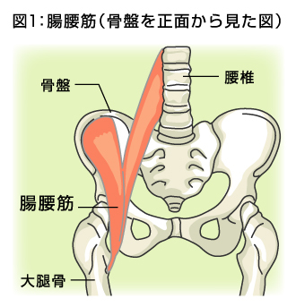 歩き方！