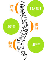 腰痛!